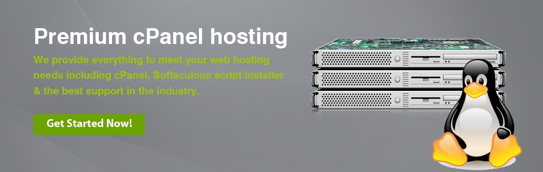 web hosting banner